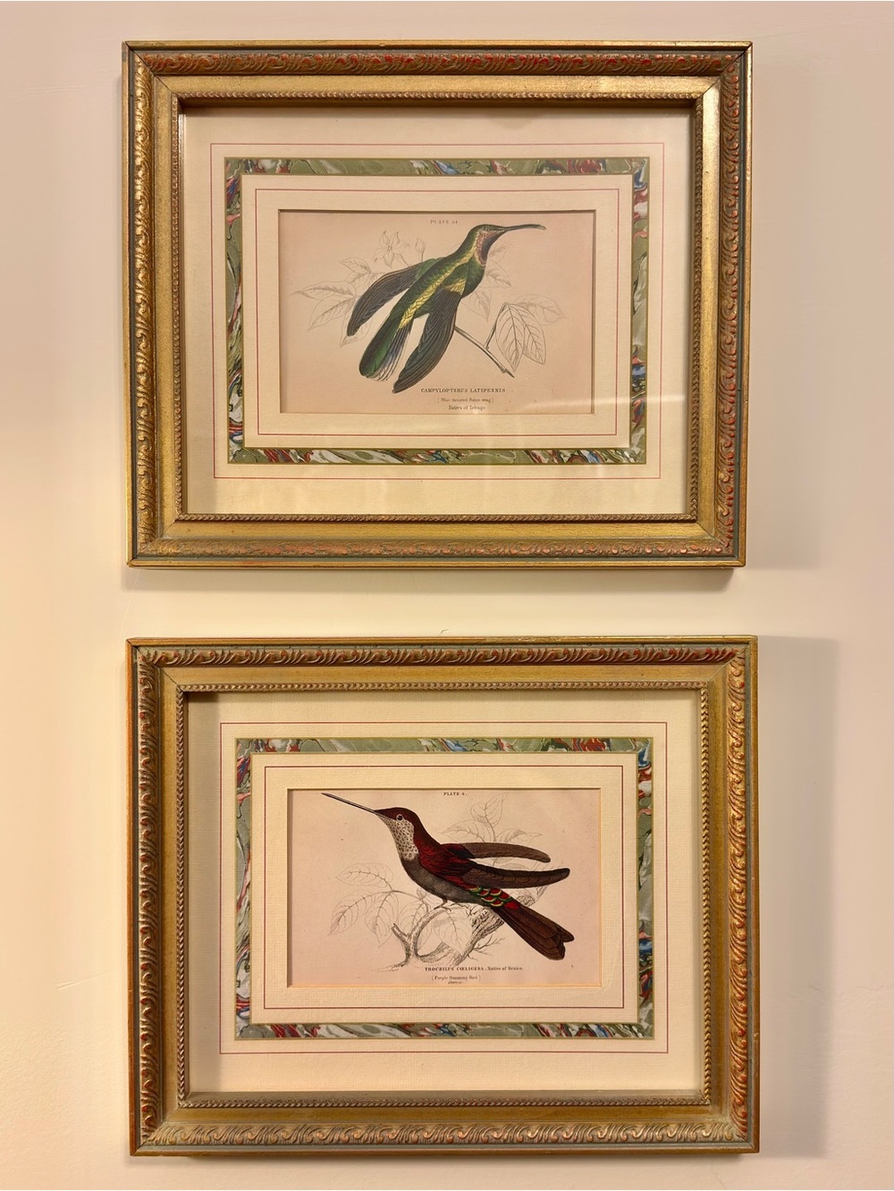 Framed Hummingbird Wall Art Set - Green & Red